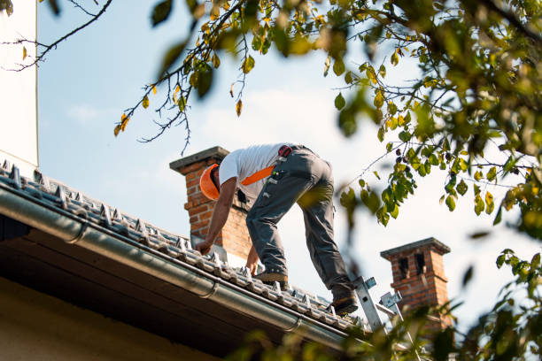 Best Roof Gutter Cleaning  in Greene, IA