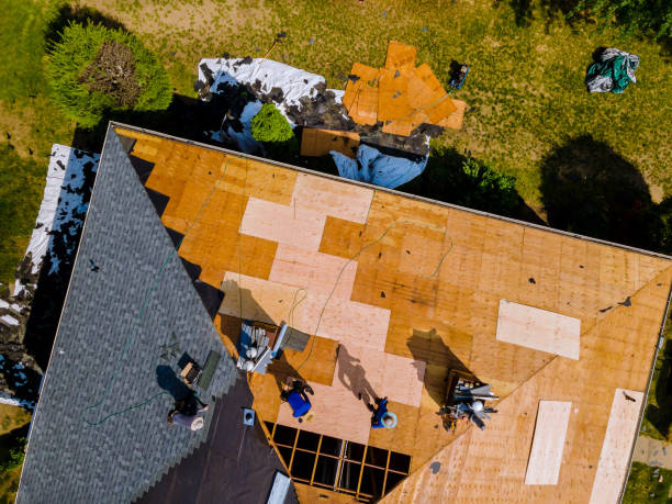 Best Storm Damage Roof Repair  in Greene, IA